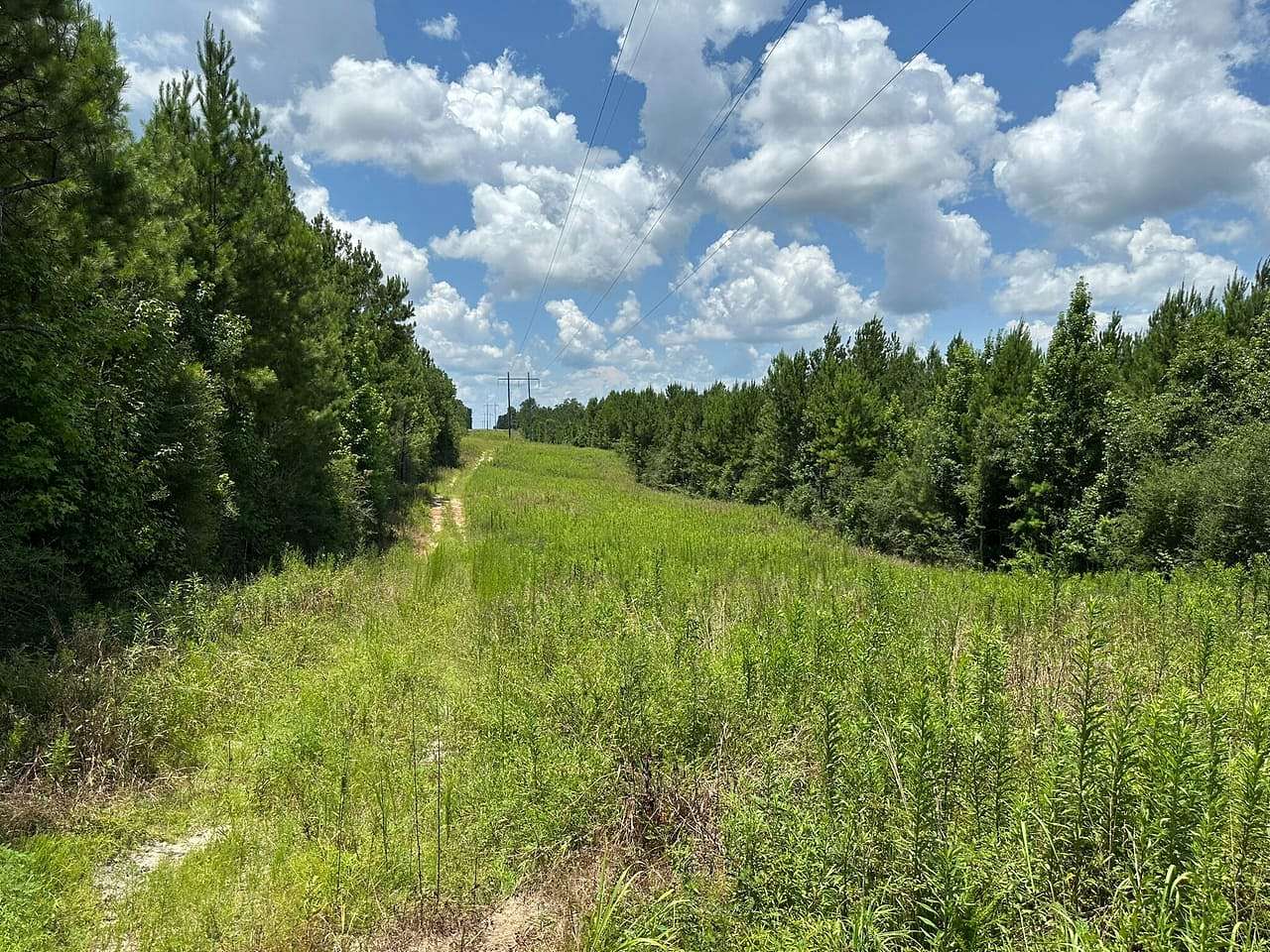 294 Acres of Land for Sale in Purvis, Mississippi