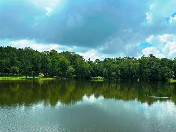 42 Acres of Land for Sale in Laurel, Mississippi