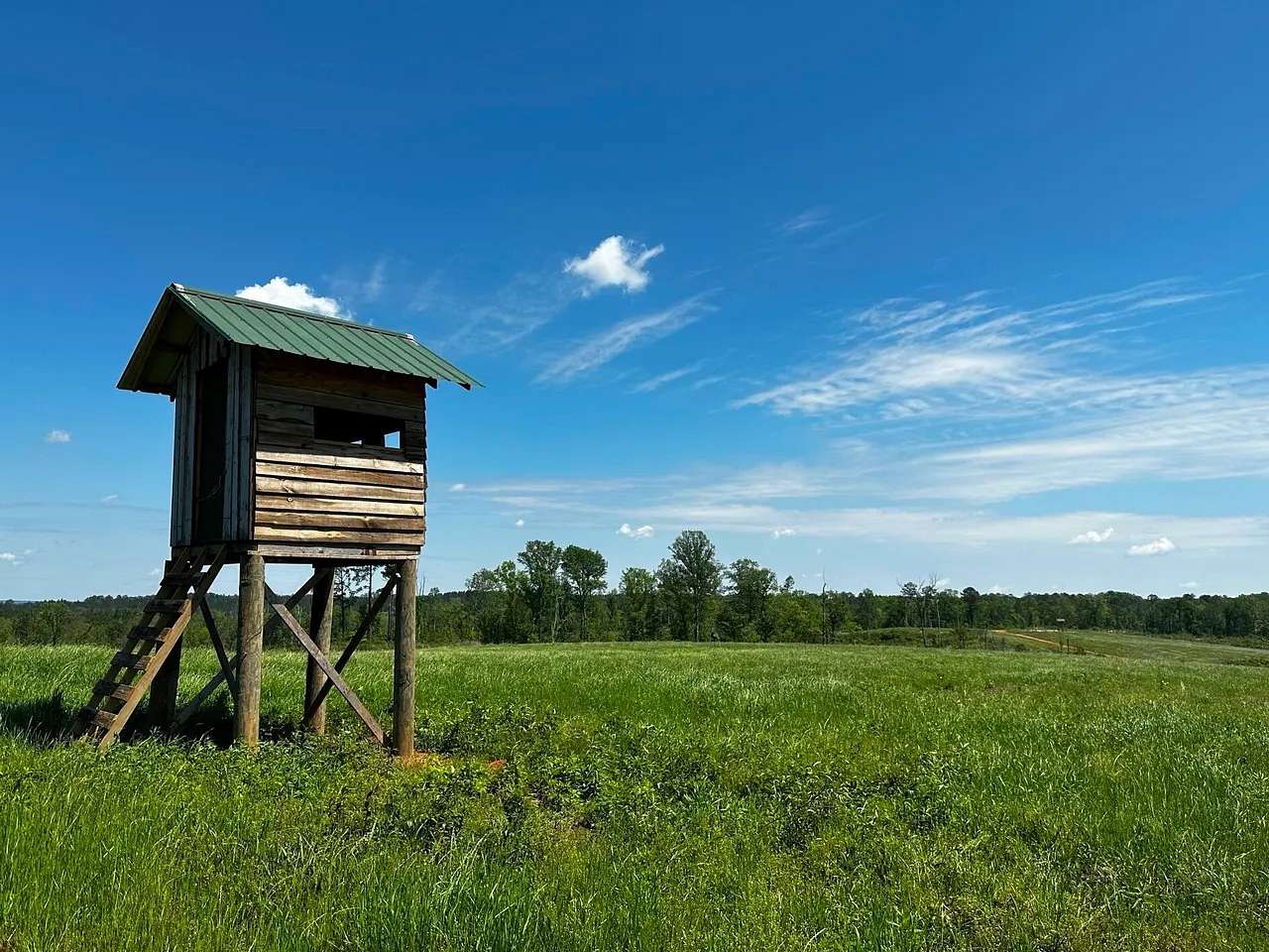 249 Acres of Recreational Land for Sale in Paulding, Mississippi