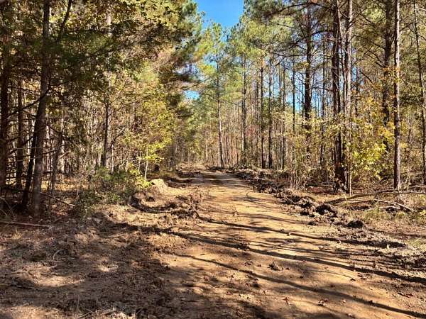 161 Acres of Recreational Land & Farm for Sale in Shuqualak, Mississippi