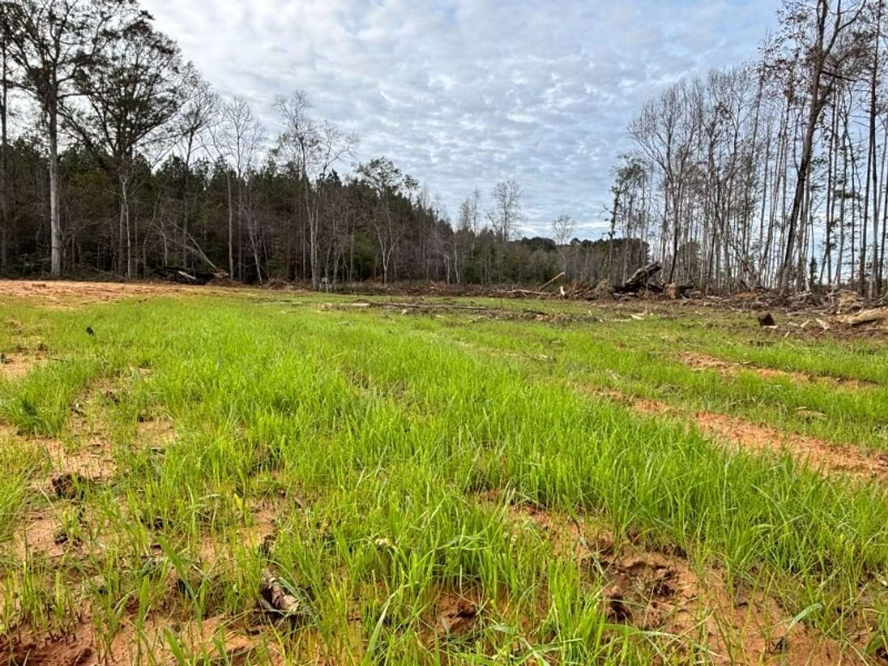 124 Acres of Recreational Land for Sale in Carthage, Mississippi