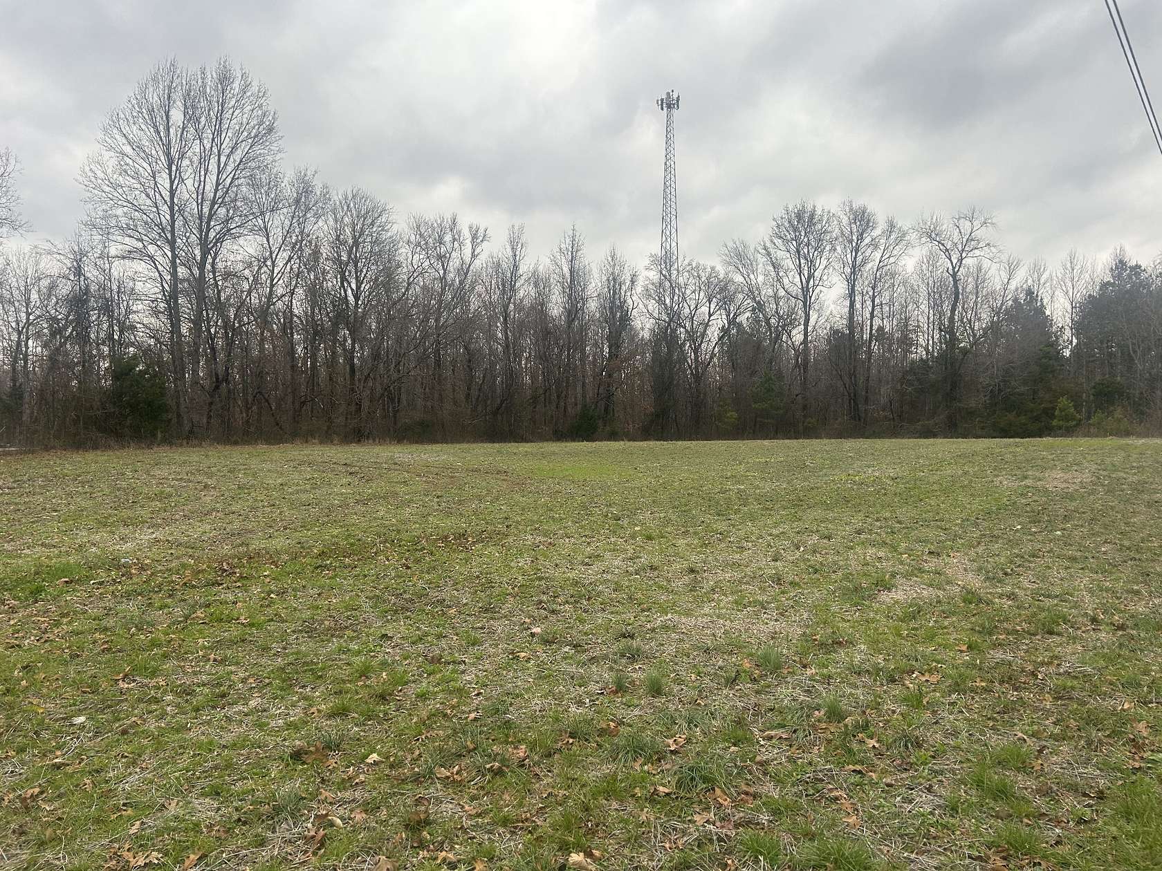 68.6 Acres of Recreational Land & Farm for Sale in Manchester, Tennessee