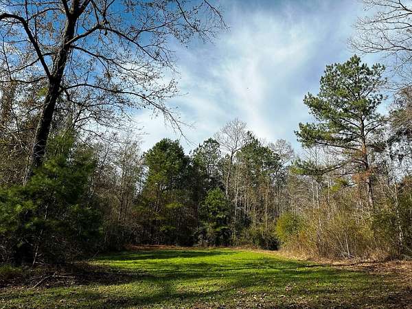 140 Acres of Land for Sale in Purvis, Mississippi