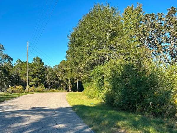 45.3 Acres of Land for Sale in Sumrall, Mississippi