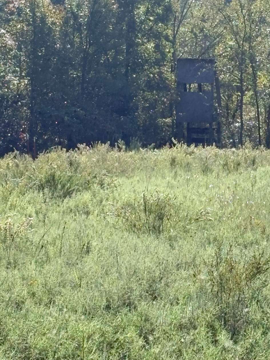 40 Acres of Recreational Land for Sale in Boley, Oklahoma