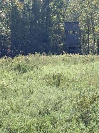 40 Acres of Recreational Land for Sale in Boley, Oklahoma