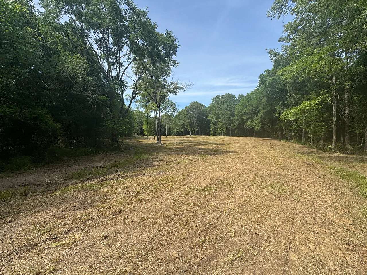 19 Acres of Recreational Land for Sale in Pioneer, Louisiana