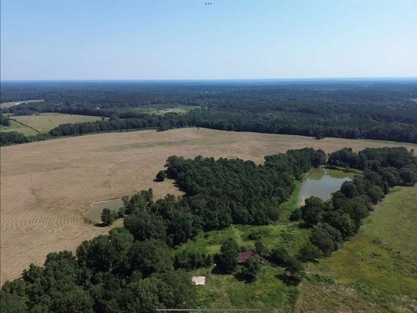 200 Acres of Land with Home for Sale in Magnolia, Mississippi