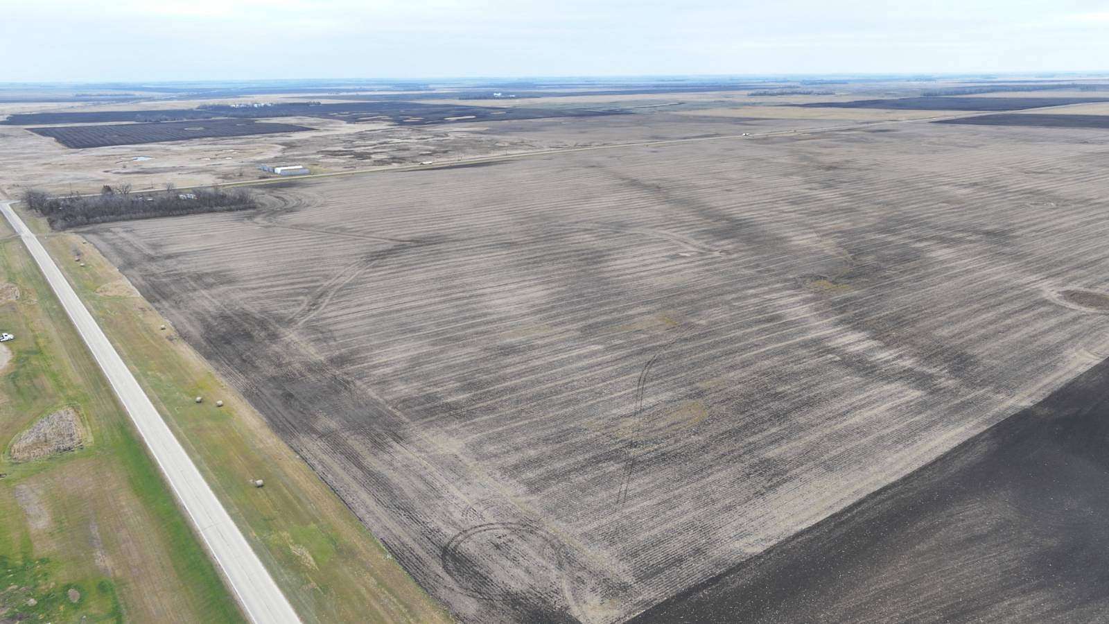 145 Acres of Land for Auction in Pillsbury, North Dakota