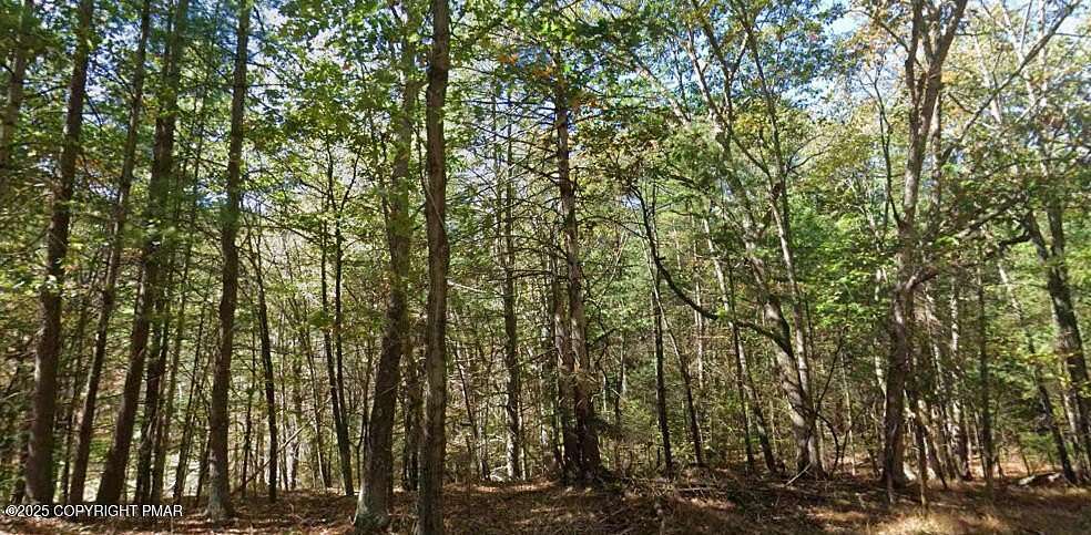 30.6 Acres of Recreational Land & Farm for Sale in Stroudsburg, Pennsylvania