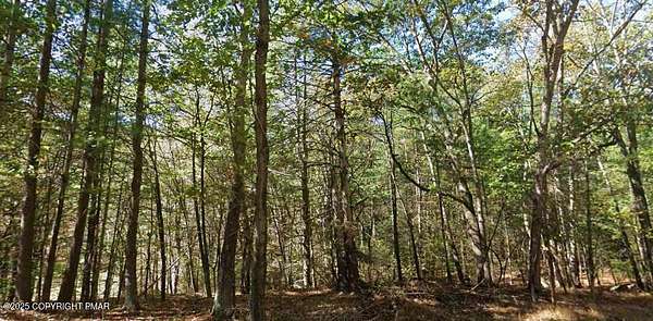 30.6 Acres of Recreational Land & Farm for Sale in Stroudsburg, Pennsylvania