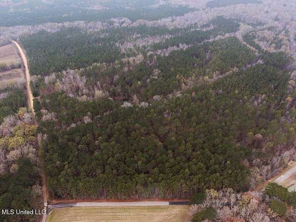 80 Acres of Recreational Land for Sale in Ackerman, Mississippi
