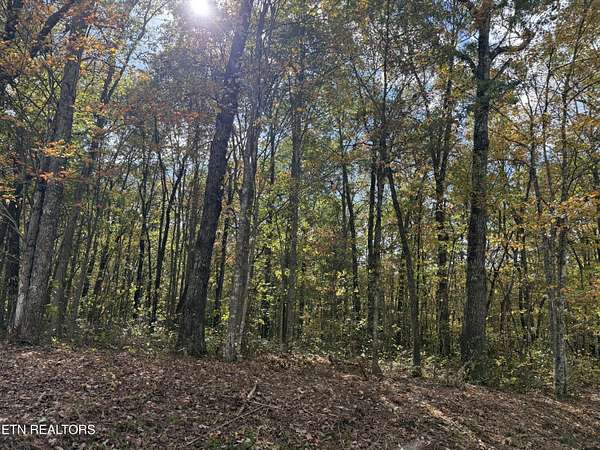6.42 Acres of Land for Sale in Jamestown, Tennessee