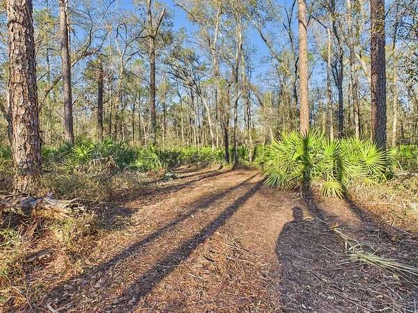 2.5 Acres of Residential Land for Sale in Lee, Florida