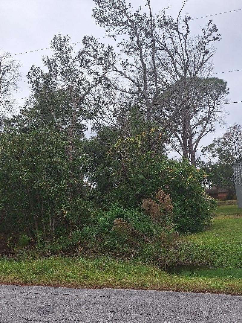 0.29 Acres of Residential Land for Sale in DeLand, Florida