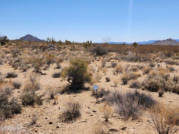 1 Acre of Residential Land for Sale in Yucca, Arizona
