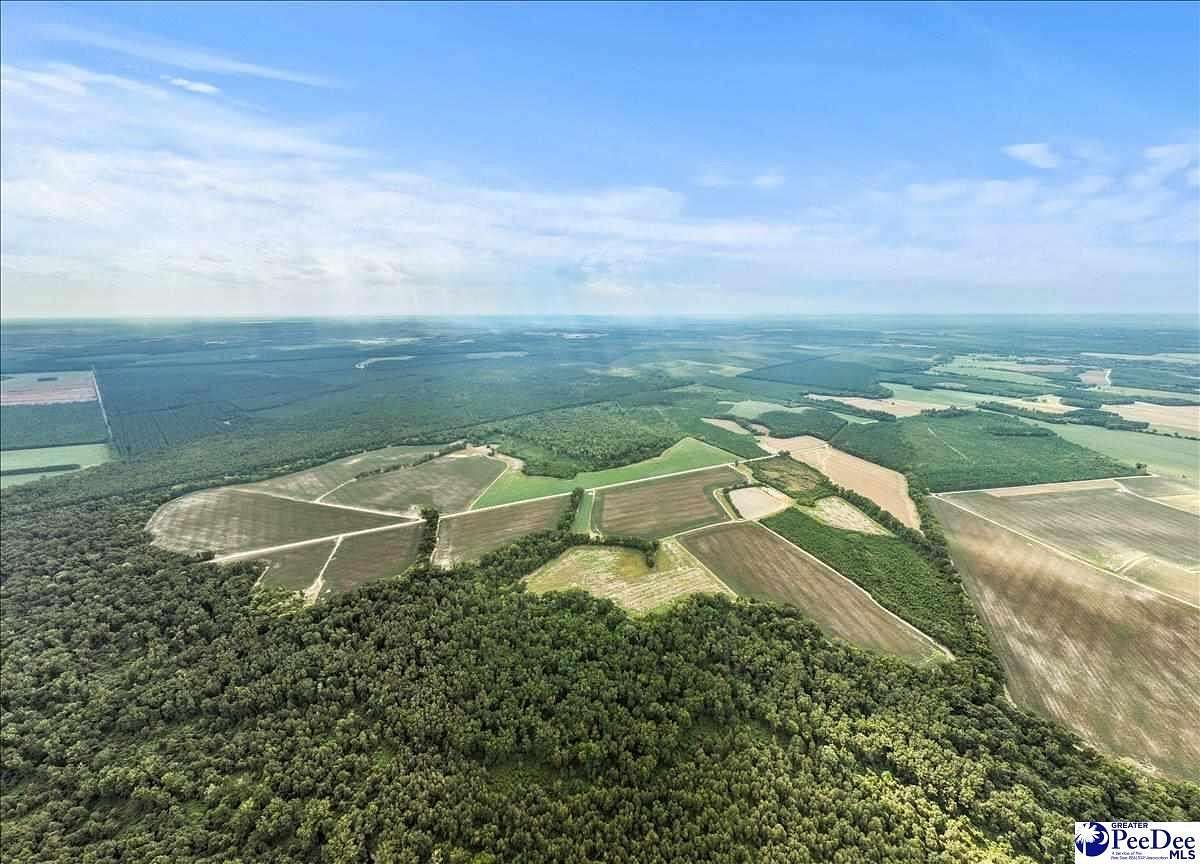 1,182 Acres of Recreational Land & Farm for Sale in Marion, South Carolina