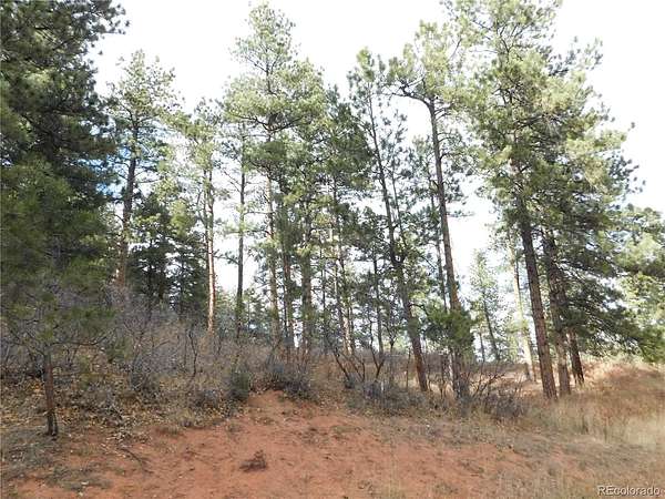 1 Acre of Residential Land for Sale in Larkspur, Colorado