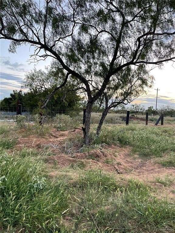 10 Acres of Agricultural Land for Sale in San Isidro, Texas