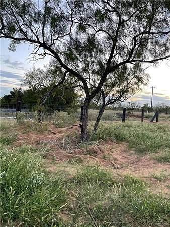 10 Acres of Agricultural Land for Sale in San Isidro, Texas