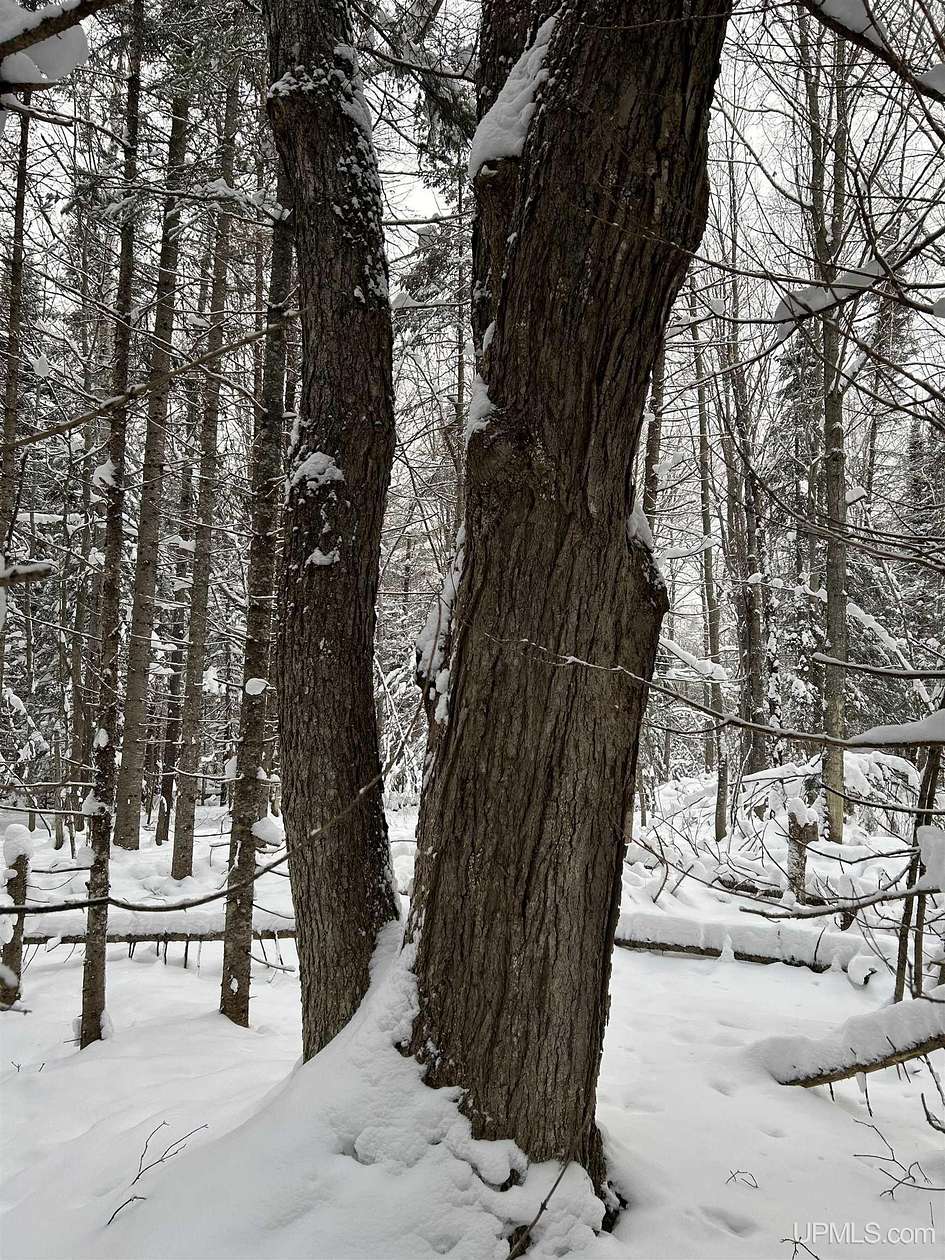 3.67 Acres of Land for Sale in Lake Linden, Michigan