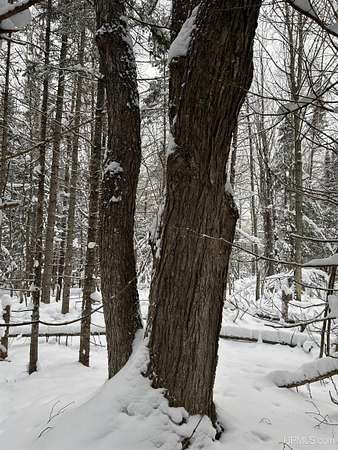 3.67 Acres of Land for Sale in Lake Linden, Michigan