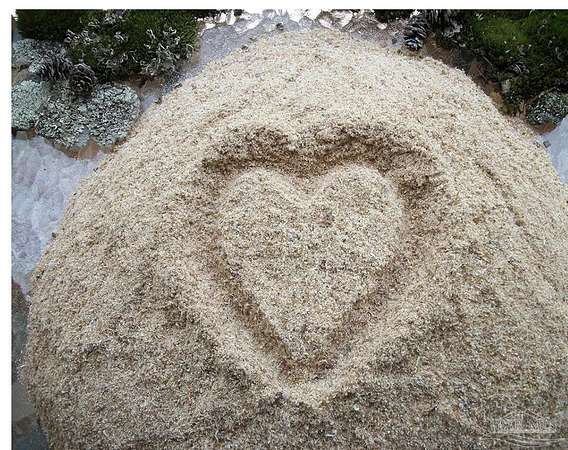 4 Acres of Residential Land for Sale in Milton, Florida