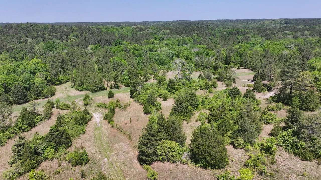 49 Acres of Land for Sale in Pointblank, Texas