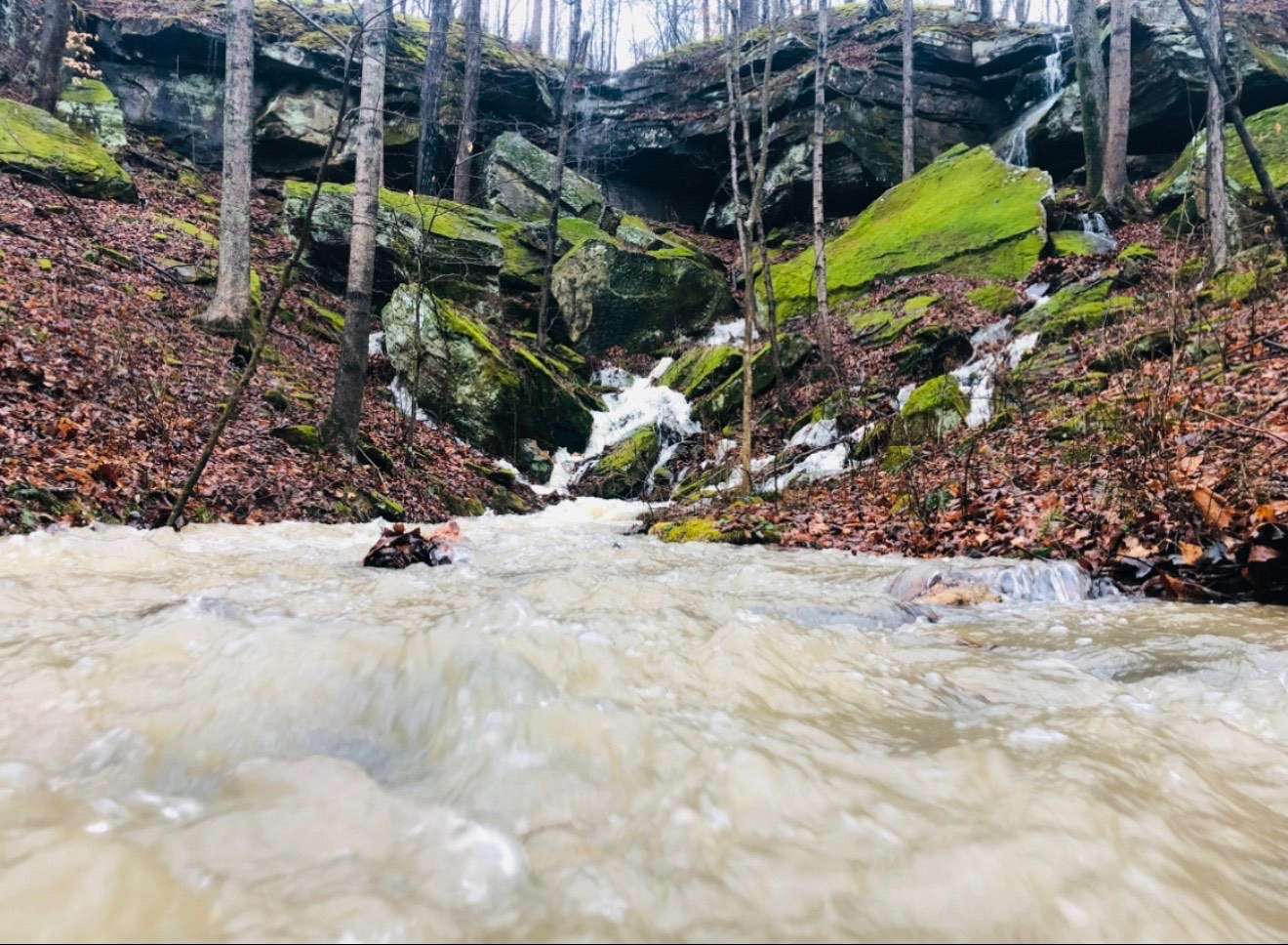 7.69 Acres of Residential Land for Sale in Bloomfield, Indiana