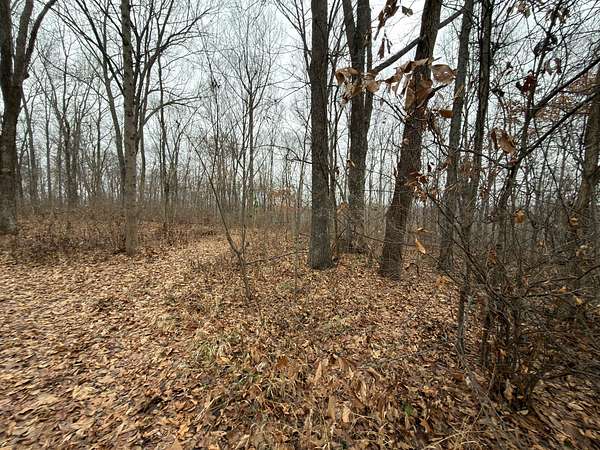 46.5 Acres of Land for Sale in Bloomfield, Indiana