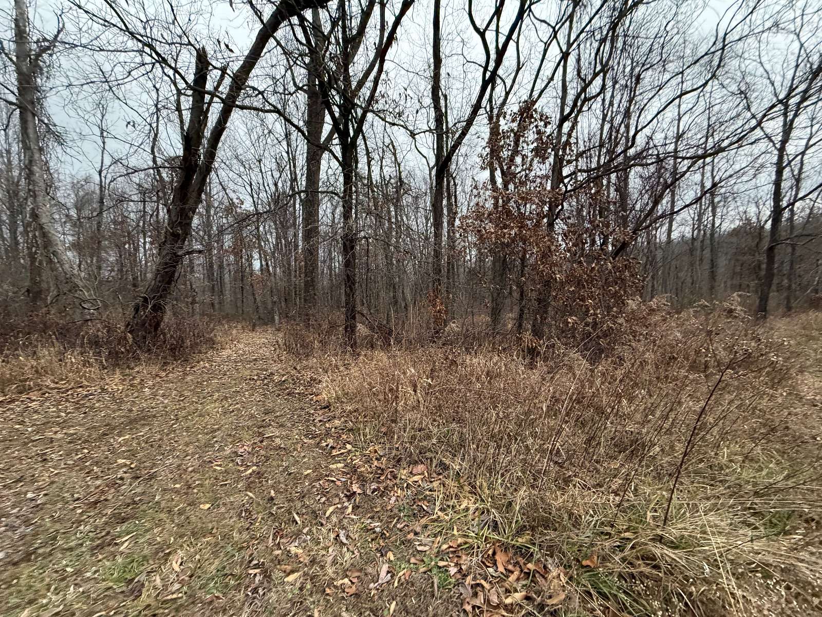 5.86 Acres of Residential Land for Sale in Bloomfield, Indiana