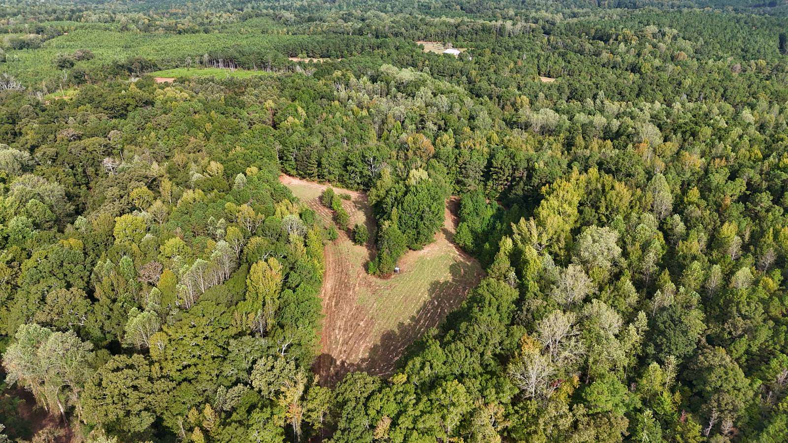 121 Acres of Recreational Land for Sale in Greenville, Alabama