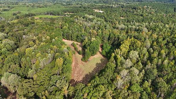 121 Acres of Recreational Land for Sale in Greenville, Alabama