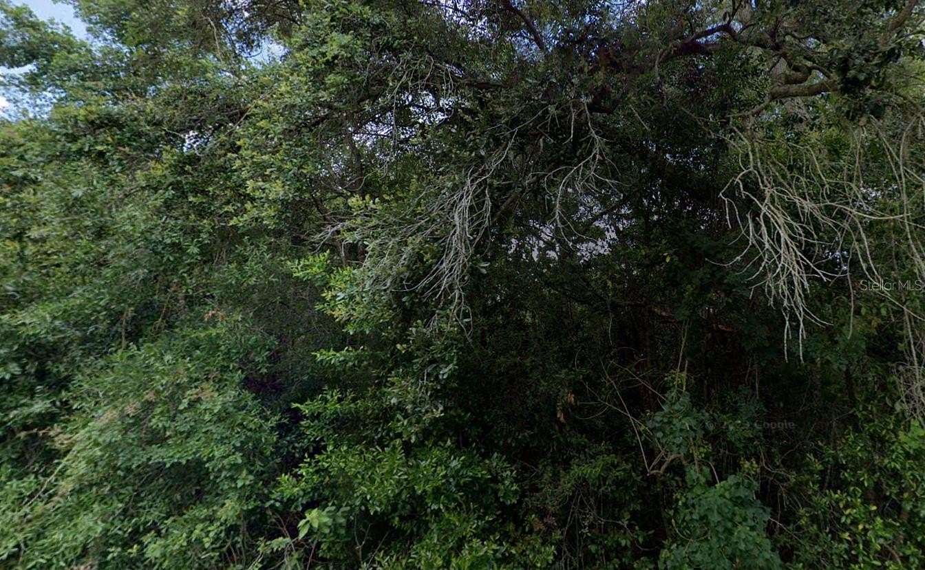 0.55 Acres of Residential Land for Sale in Inverness, Florida