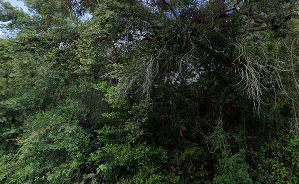 0.55 Acres of Residential Land for Sale in Inverness, Florida