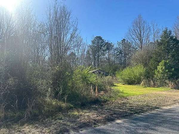 41.8 Acres of Recreational Land for Sale in Pinola, Mississippi