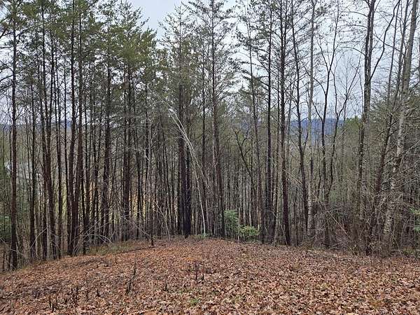 1 Acre of Residential Land for Sale in Hayesville, North Carolina