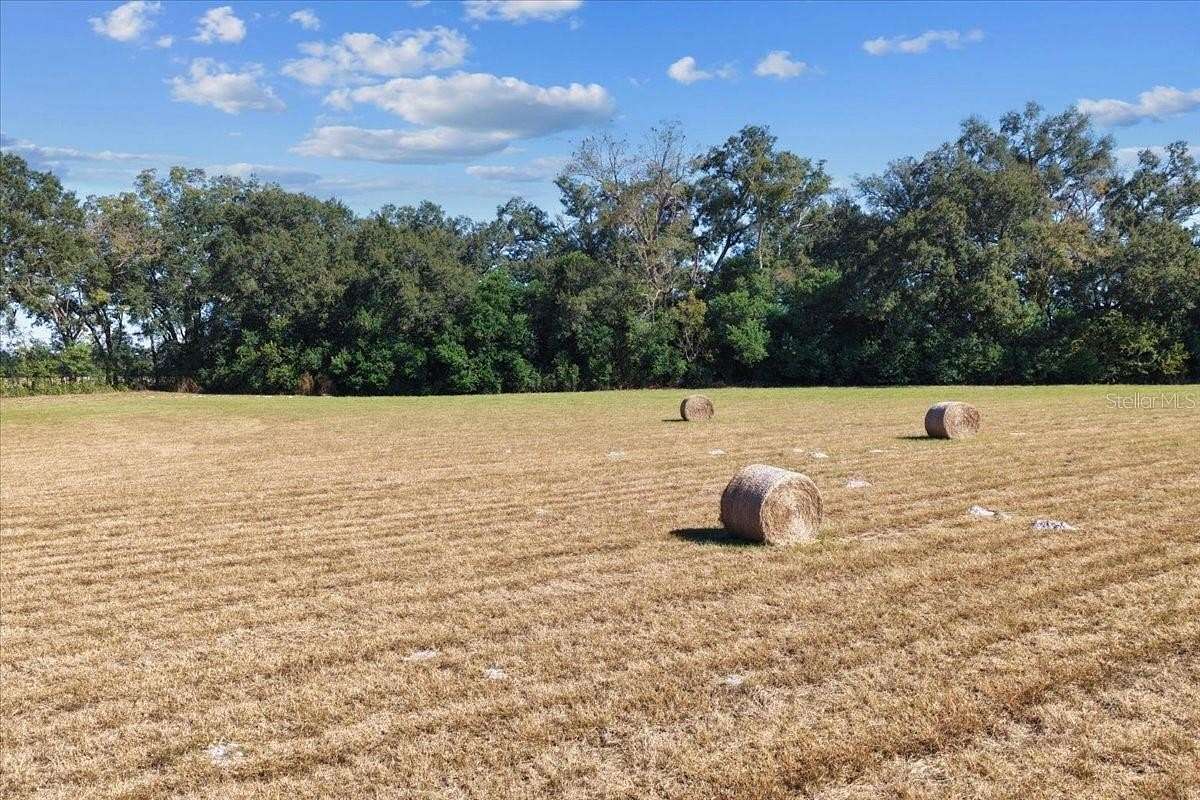 19.5 Acres of Recreational Land & Farm for Sale in Trenton, Florida