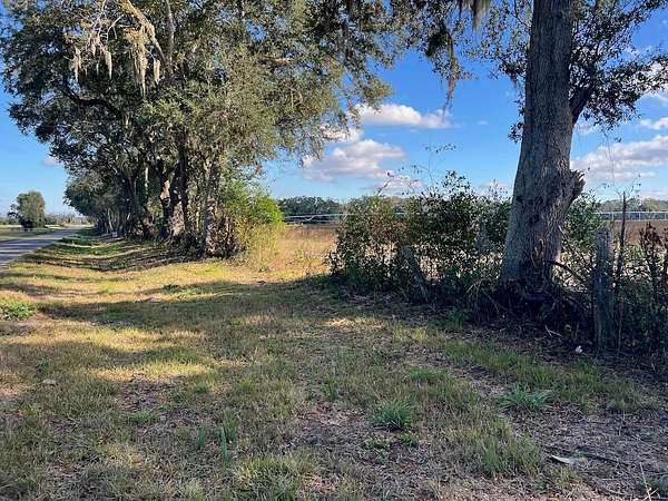 20 Acres of Recreational Land & Farm for Sale in Trenton, Florida
