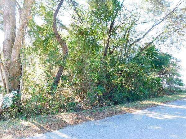 0.24 Acres of Residential Land for Sale in Belleview, Florida