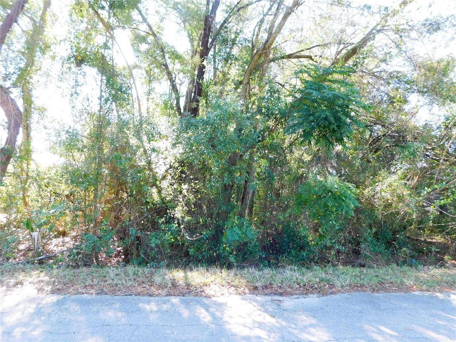 0.24 Acres of Residential Land for Sale in Belleview, Florida