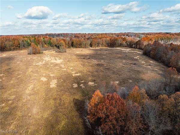 79.5 Acres of Recreational Land & Farm for Auction in Lowellville, Ohio