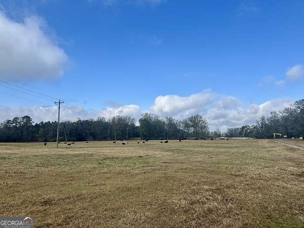 99.3 Acres of Agricultural Land for Sale in Greensboro, Georgia