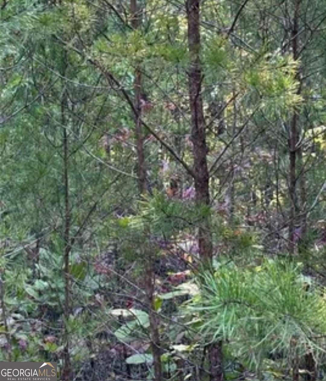 0.59 Acres of Residential Land for Sale in Braswell, Georgia