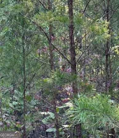 0.59 Acres of Residential Land for Sale in Braswell, Georgia