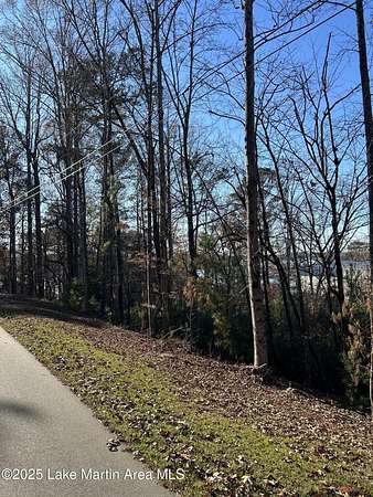 0.5 Acres of Residential Land for Sale in Dadeville, Alabama