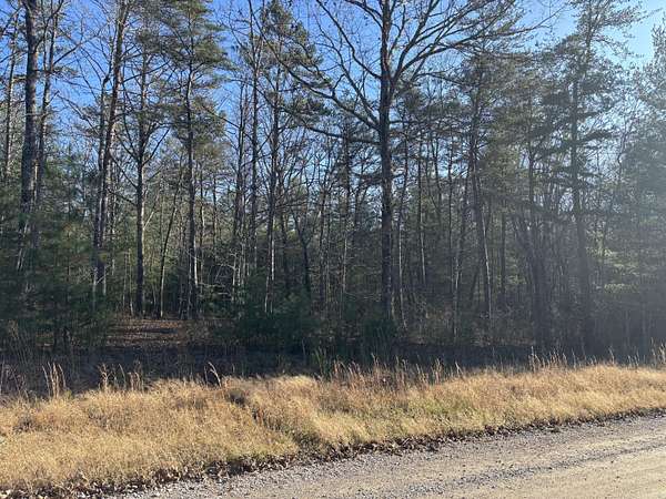 11 Acres of Land for Sale in Pikeville, Tennessee