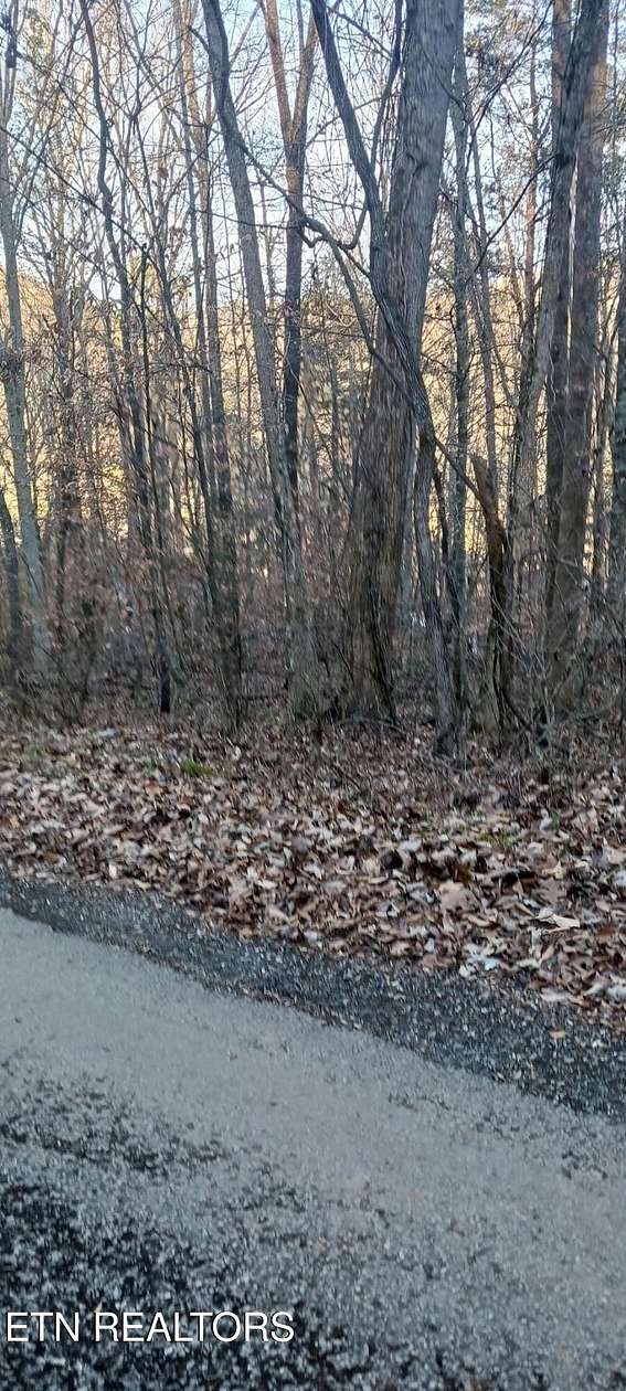 0.68 Acres of Land for Sale in Speedwell, Tennessee