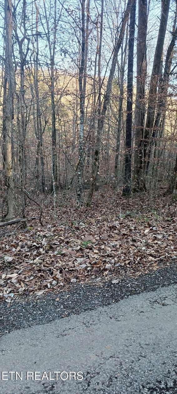 0.68 Acres of Land for Sale in Speedwell, Tennessee