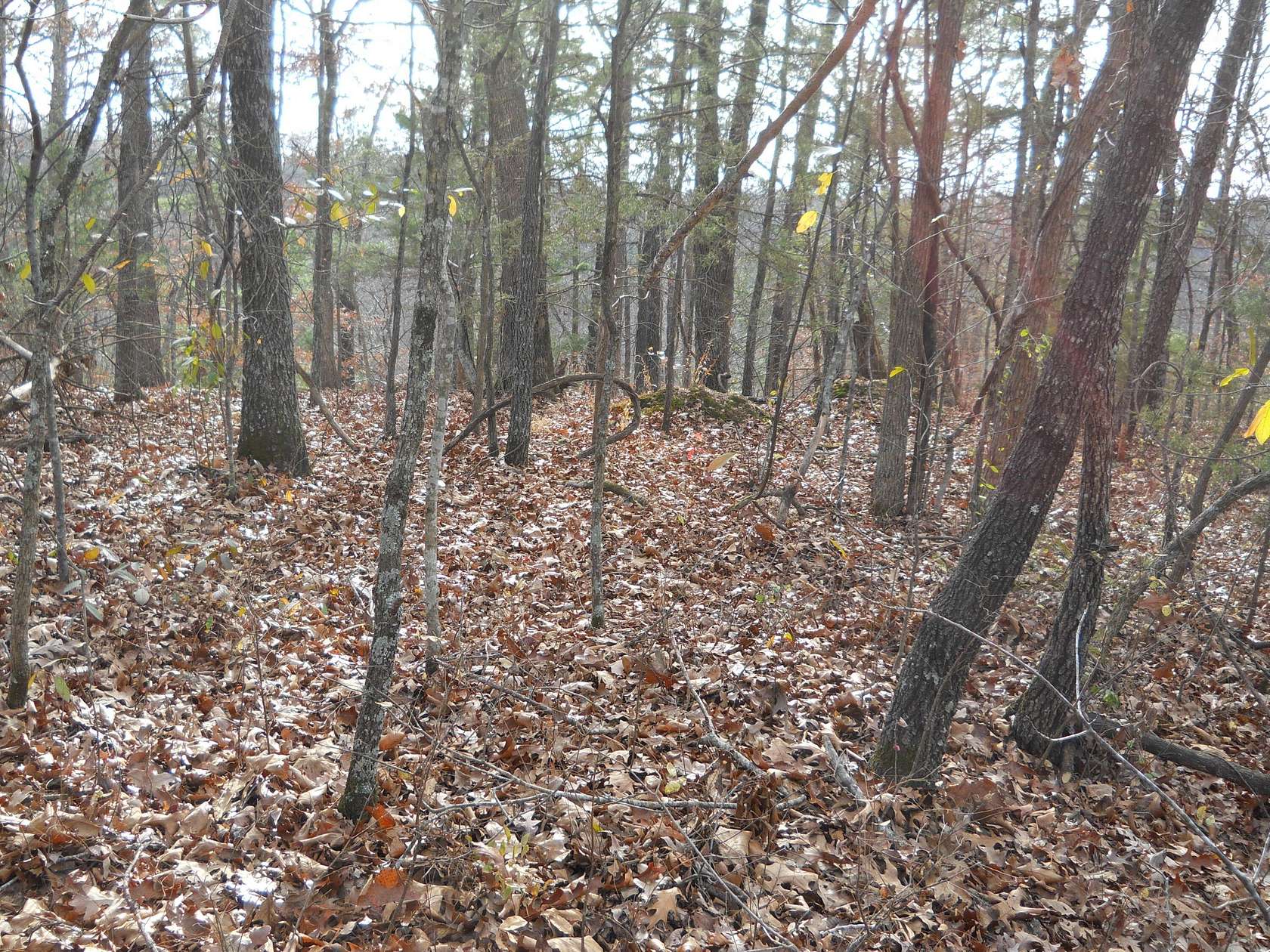 2.2 Acres of Land for Sale in Lampe, Missouri